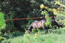 IMG_0836.jpeg