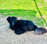 IMG_8740.jpeg