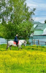 IMG_8753.jpeg