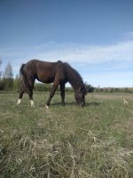 IMG_20260525_091819.jpg