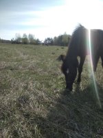 IMG_20260525_092121.jpg