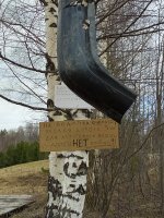 IMG_20240502_131515_052.jpg