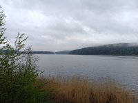 IMG_20260523_095311.jpg