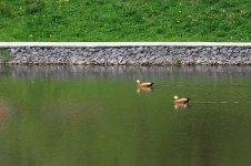 IMG_2995.JPG