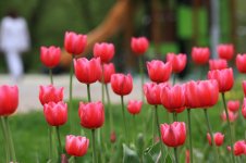 IMG_2978.JPG