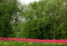 IMG_2963.JPG