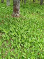 IMG_20260525_145553.jpg