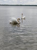 IMG_20260525_150823.jpg