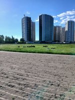 20260524_174132.jpg