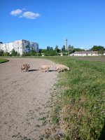 20260524_174318.jpg