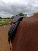 IMG_20260526_161220.jpg