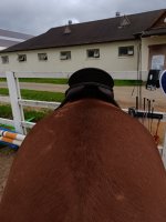 IMG_20260526_161238.jpg