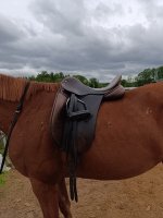 IMG_20260526_162807.jpg