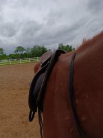 IMG_20260526_162818.jpg