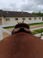 IMG_20260526_162829.jpg