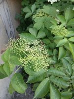 20260526_164602.jpg