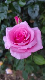 IMG_20260526_214330.jpg