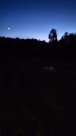 IMG_20260526_225555.jpg