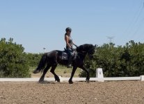 IMG_2766.jpeg
