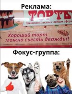 По коням.jpeg