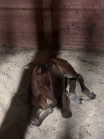 IMG_5708.jpeg