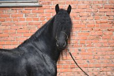DSC_6624.JPG