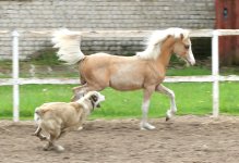 IMG_6096.jpeg