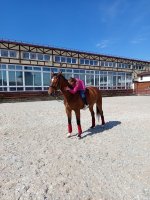 IMG_9704.jpeg