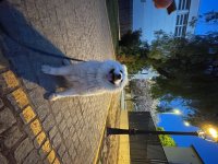 IMG_2880.jpeg