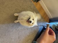 IMG_2872.jpeg