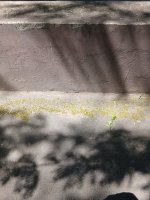 20260530_115228.jpg