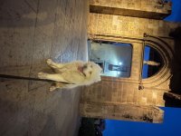 IMG_2928.jpeg