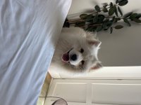 IMG_2895.jpeg