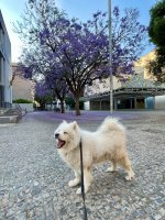 IMG_2892.jpeg