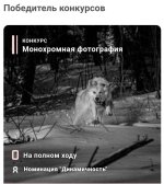 OGk_HBNIxTY-1.jpg