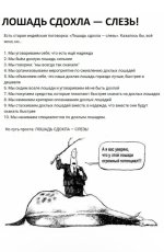 IMG_8851.jpeg