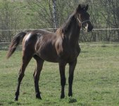 IMG_3639.jpeg