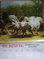 IMG_20260531_090458.jpg