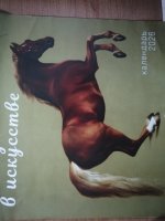 IMG_20260531_090420.jpg