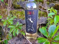 20260603_182455.jpg