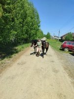 IMG_20260604_091921_039.jpg