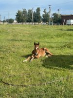 IMG_7025.jpeg
