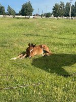 IMG_7026.jpeg