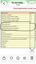 IMG_2277.jpeg