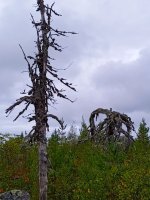IMG_20250823_125531_690.jpg