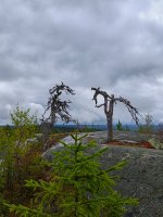 IMG_20250823_125144_162.jpg