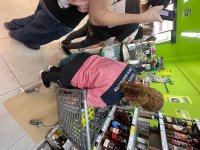 IMG_2733.jpeg