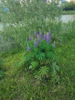 IMG_20260605_203834.jpg