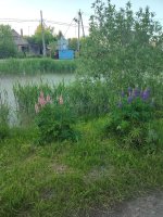 IMG_20260605_203844.jpg