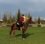 IMG_4951.jpeg